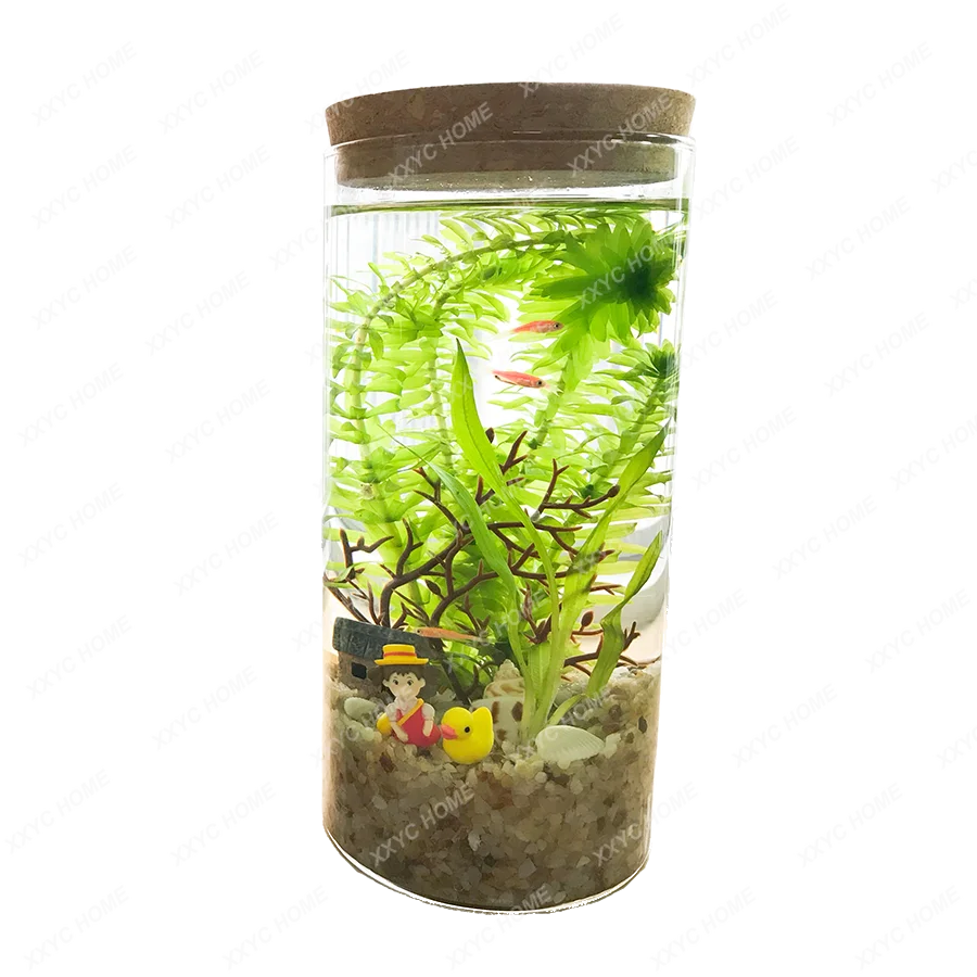 

Ornamental Aquatic Plants Landscaping Micro Landscape Glass Flower Container Plants Mini Fish Bowl Office Book Desktop Fish Tank