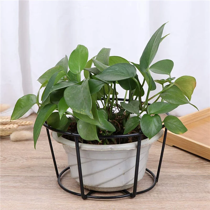 

【Limited-Stock!】12Pcs Hanging Railing Planters Pot Holders Plant Iron Racks Fence Metal Potted Stand Mounted Balcony Baskets Sma