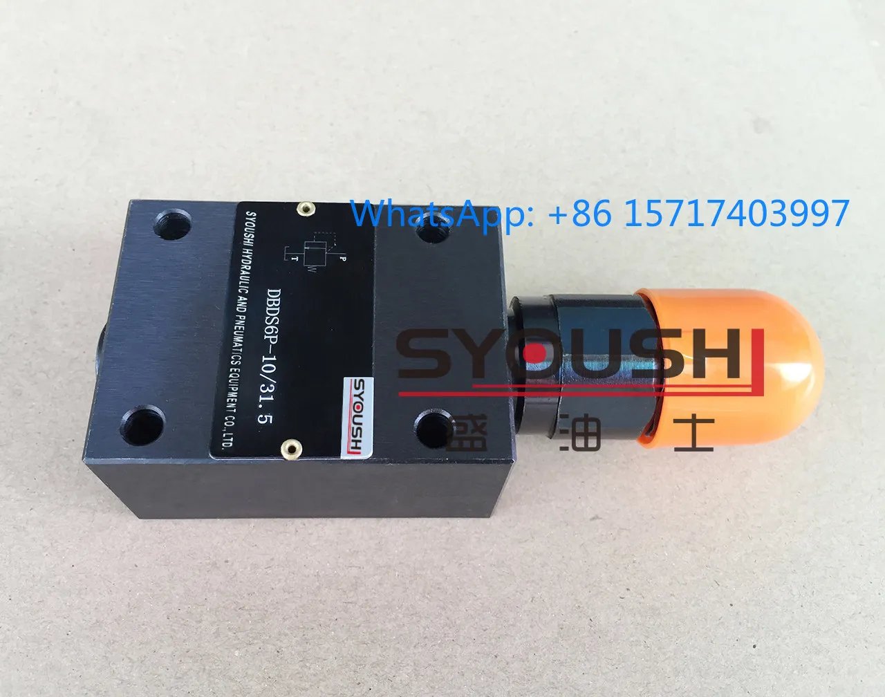Direct Acting Relief Valve DBDS6P, DBDH6P10/2.5/5/10/20/31.5 in stock