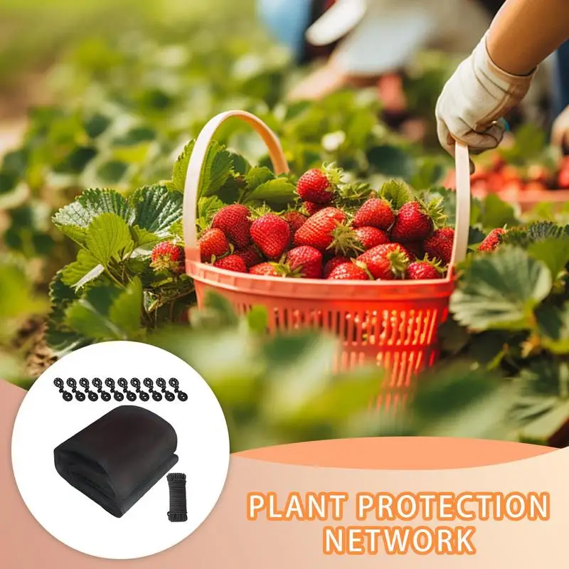 

Netting For Garden Protection 12 Pieces Garden Mesh Netting Plant Supplies For Vineyard Pea Backyard Lettuce Blueberry Grape