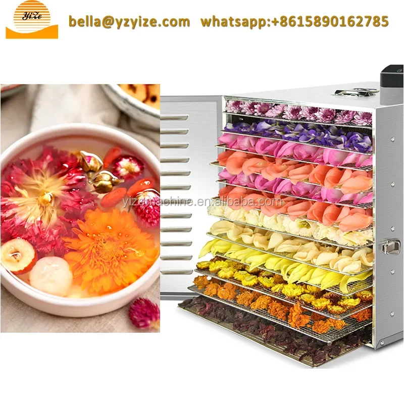 5-10 layers small fruit drying machine mini food dehydrator for fruits