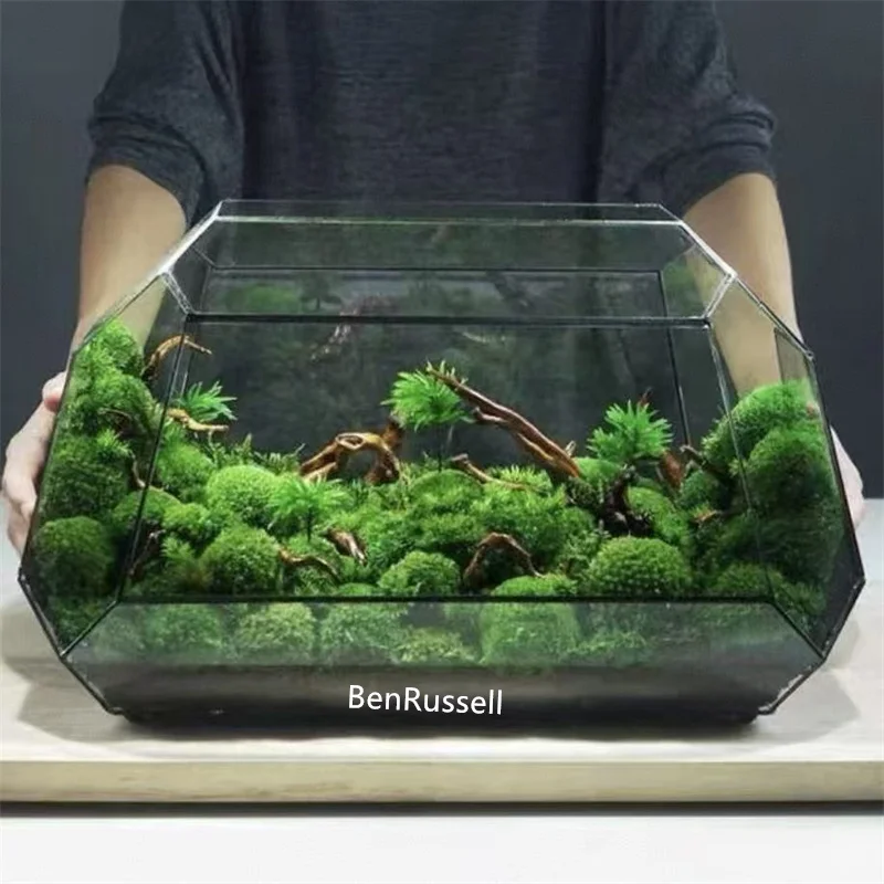 Mikro-Landschaft Farn-Moos Ökologisches Geometrisches Glas-Terrarium Tisch-Sukkulenten-Pflanzglas-Vasengefäß Tisch-Gewächshaus