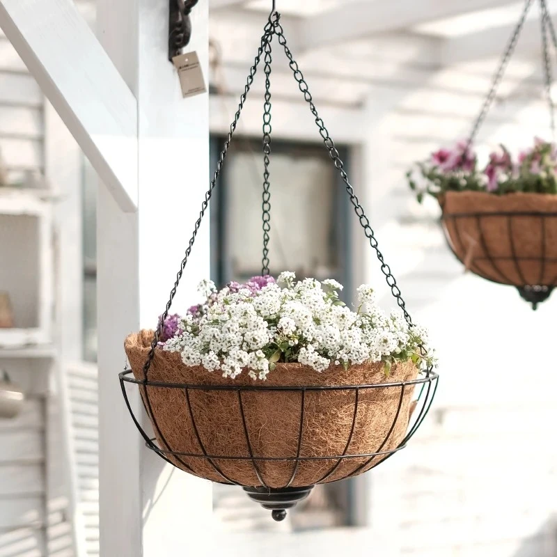Grocery gardening indoor balcony old hanging basin, creative hanging coconut palm hanging, ornament