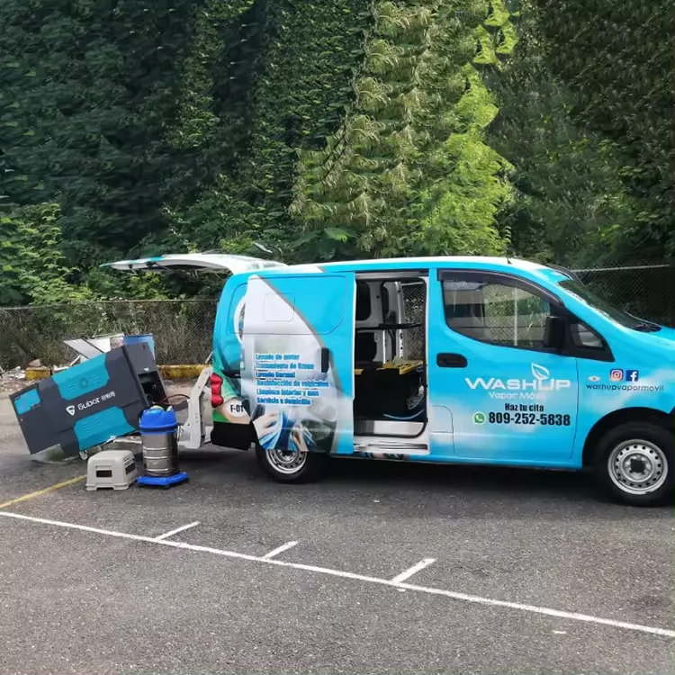 High Pressure Car Engine Steam Cleaning Machine Diesel Fuel Steam Cleaner for Car Detailing