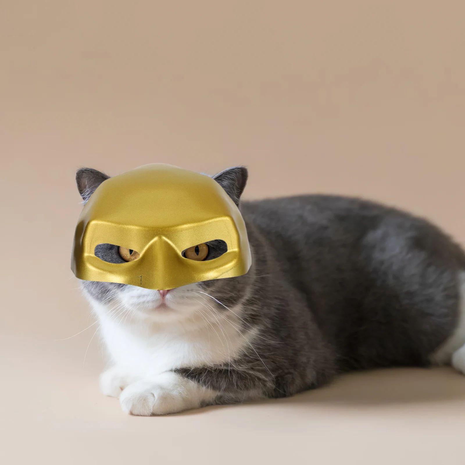 

2Pcs Cat Bat Hat - Festive Pet Mask for Cats and Puppies - Halloween Dog Cap Dress Up Party Costume Accessory Cat Mask Bat