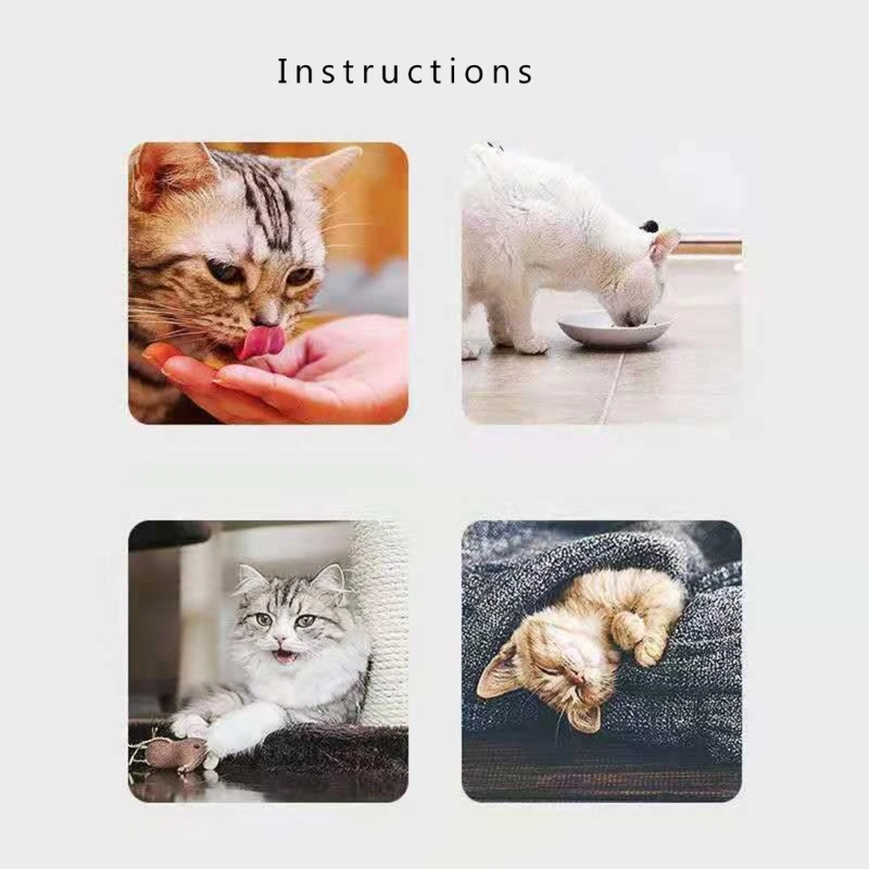 10pcs Catnips Sachets Stimulate Your Cat's Playfulness and Happiness