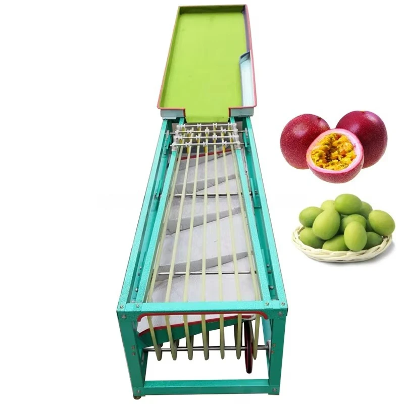 Commerical Avocado Onion Grader Fruit Sorting and Grading Machine Tomato Sorter Machine Customized
