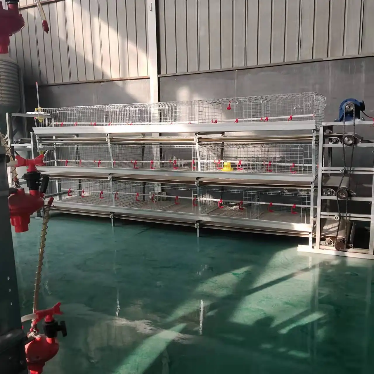 Chicken Coop, Automatic Egg Collection and Manure Cleaning, Heavy Duty Galvanized Wire, Poultry Farming Equipment, Chicken Cages