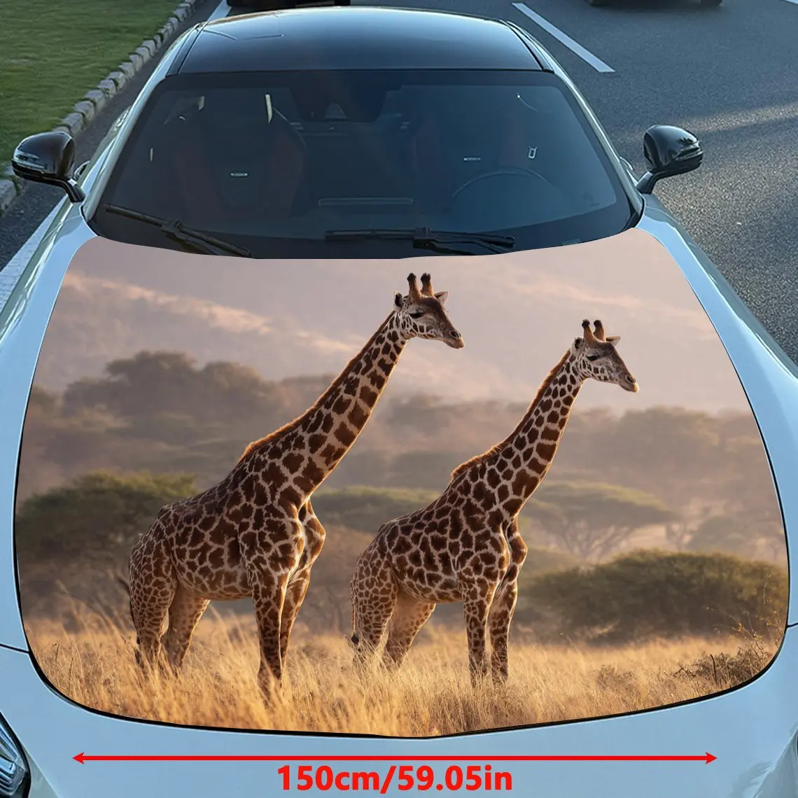 Car Decals Realistic Giraffes in a Savanna Landscape with a Warm, Sunlit Backdrop Car Hood Sticker, Waterproof Self - Adhesive V