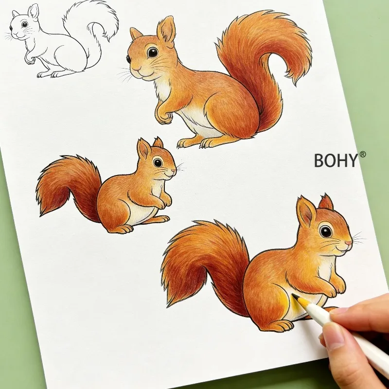 1 Animal Coloring Exercise Book, Including Themes As Lions, Rabbits, Squirrels, Sheep, Kangaroos and Other Animals, 24 Pages