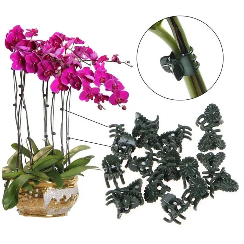 

50PCS Plastic Plant Support Clips Orchid Stem Clip for Vine Support Vegetables Flower Tied Bundle Branch Clamping Garden Tool