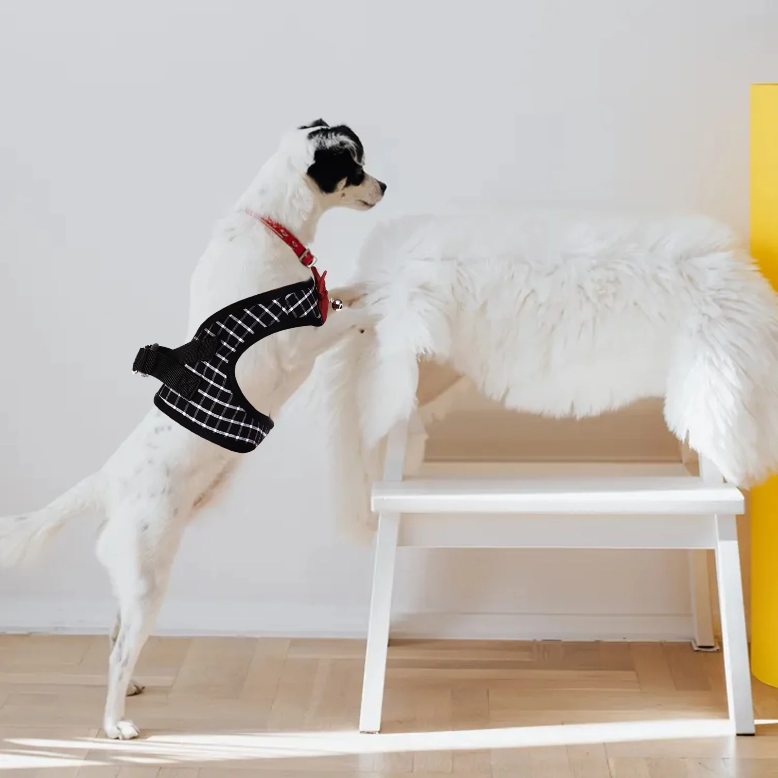 

Dog Harness Leash Set Adjustable Pet Vest For Small Dogs Puppies Squirrels Walking Traction Rope Pet Chest Strap