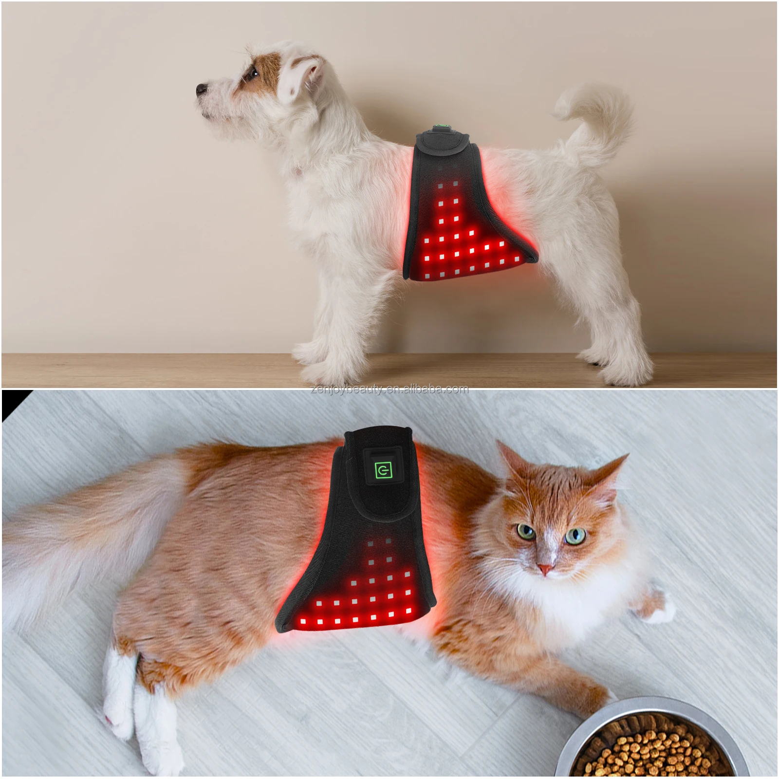 Zenjoy TLDOG Wearable Dog Body Wrap LED Infrared Red Light Therapy Belt 660nm/880nm Wavelength 192-chip LEDs 120 Beam