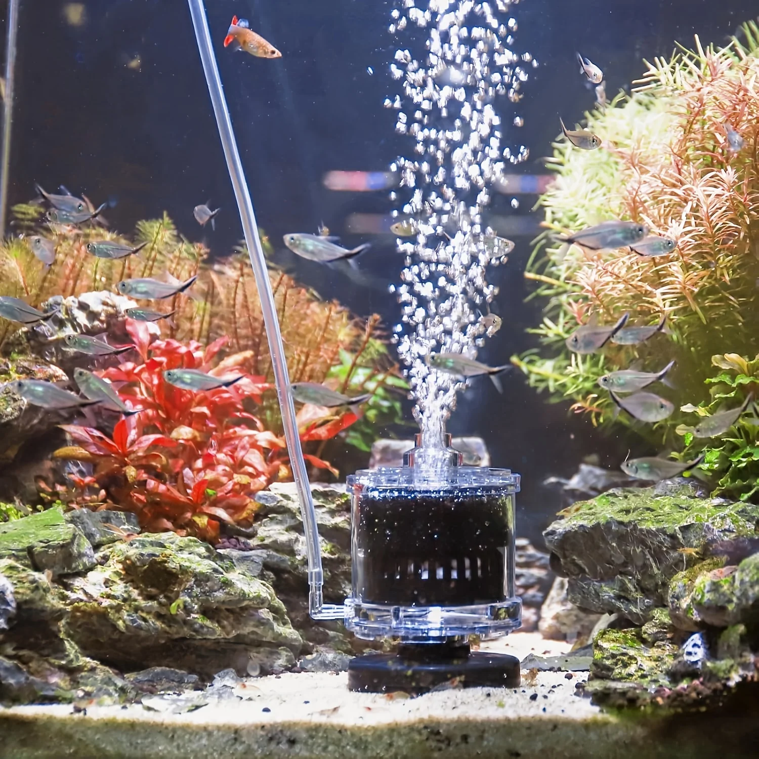 Image of Kompakter Selbstreinigender Aquariumfilter Geräuscharme Pumpe mit Bio-Oxygenierung Mini-Saugpumpe für Nano-Kleinaquarien Braucht Luftpumpe Neu