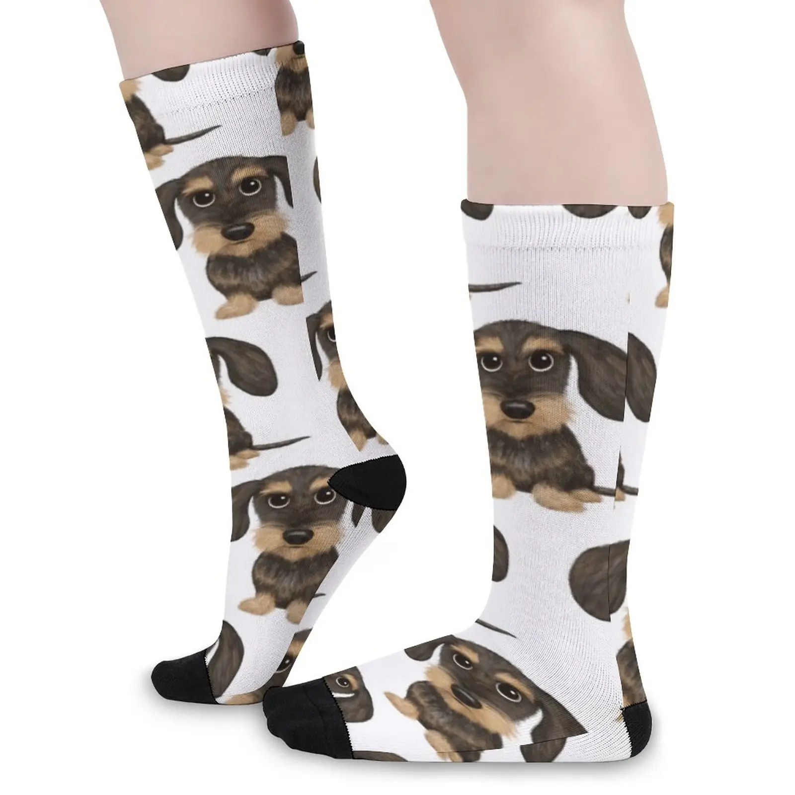 WirehaHbf-Chaussettes à poils métalliques pour hommes et femmes, jolies chaussettes de compétitivité avec patch sanglier et beige, chien Wiener,