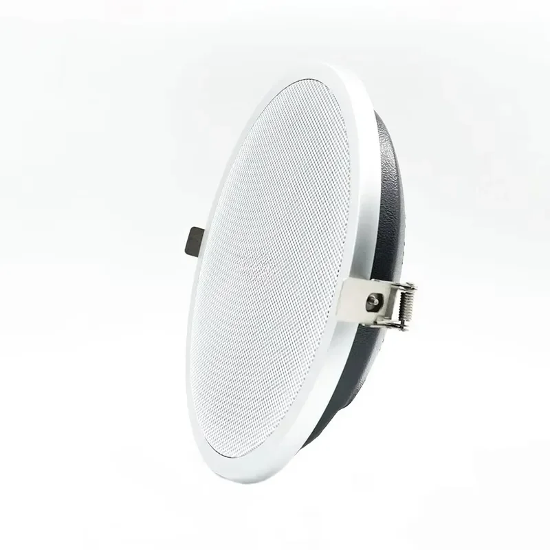 Amplified Directional Ceiling Speaker for Museum Retail Exhibition and More
