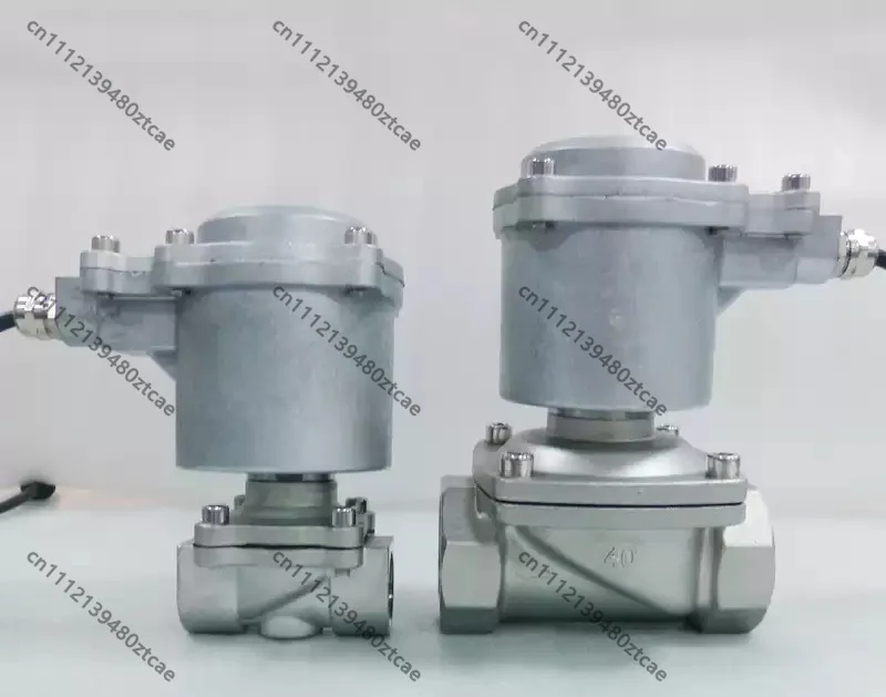 Explosion Proof Gas Solenoid Valve For Natural Gas Coal Gas DN15 DN20 DN25 DN32