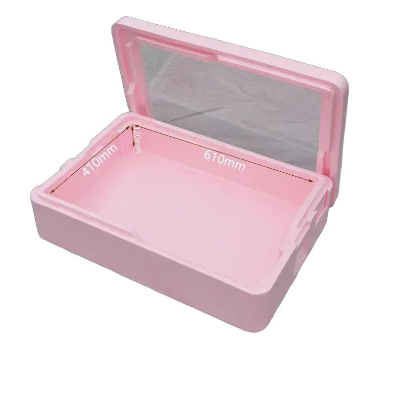 Portable Insulated Foam Cooler Box with Transparent Cover - Tiramisu Mold Storage & Food Fresh-Keeping Container