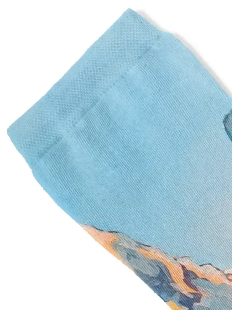 Three Sisters Socks floor floral golf Thermal man winter Socks Men Women's