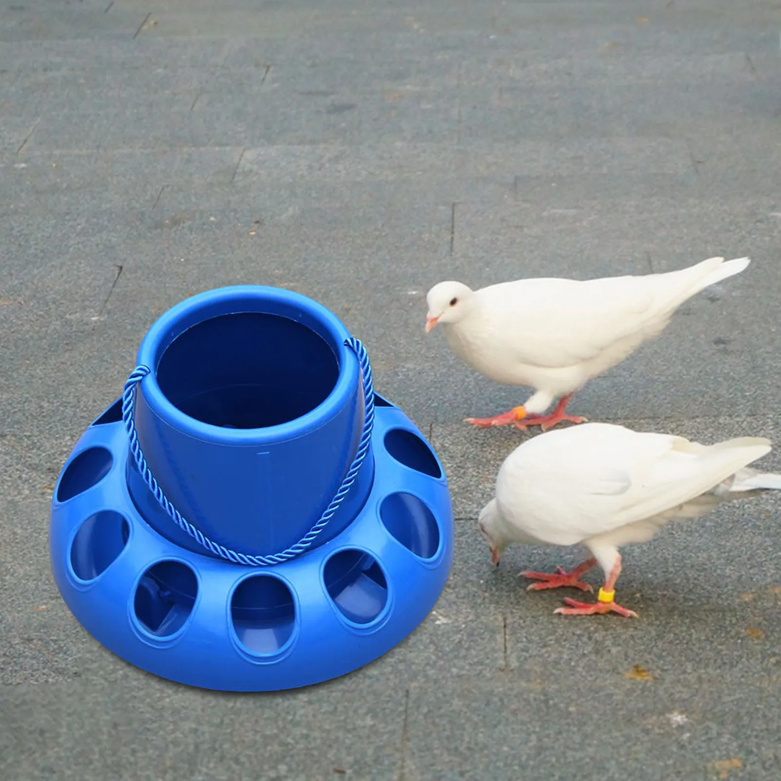 1Pc Chicken Waterer Automatic Chicken Feeder Chick Drinker Bucket Farm Animal Poultry Feeding Tools for Bird Quail Chick Pigeon