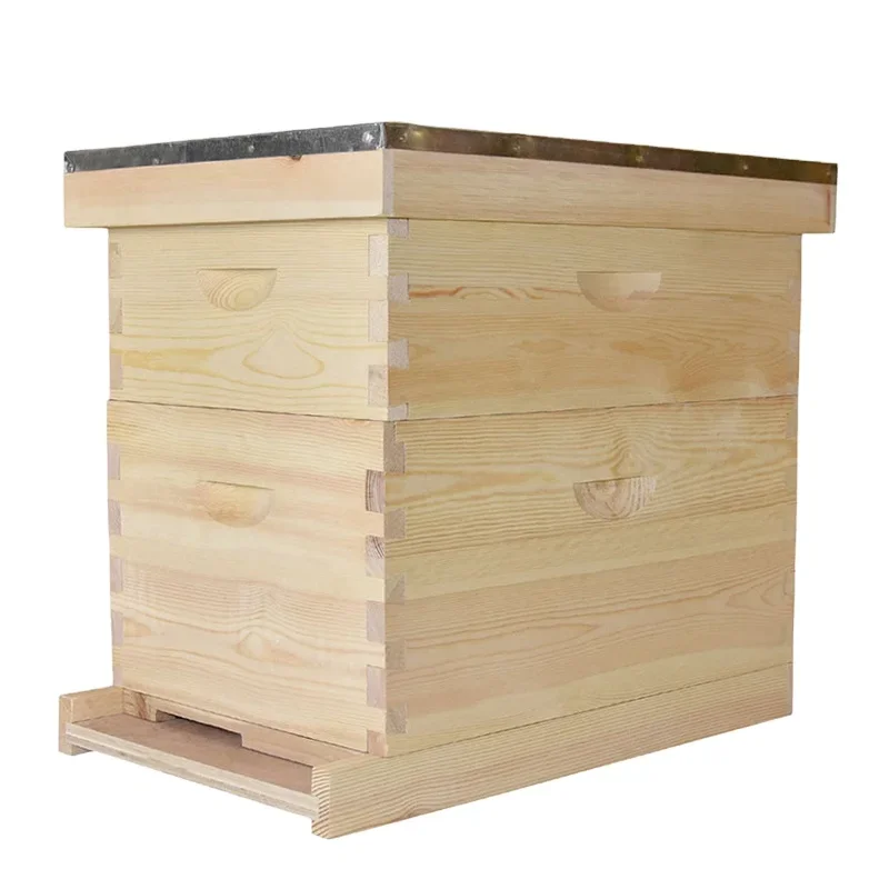 Beekeeping bee hives complete apiculture products langstroth 2 layers  beehive