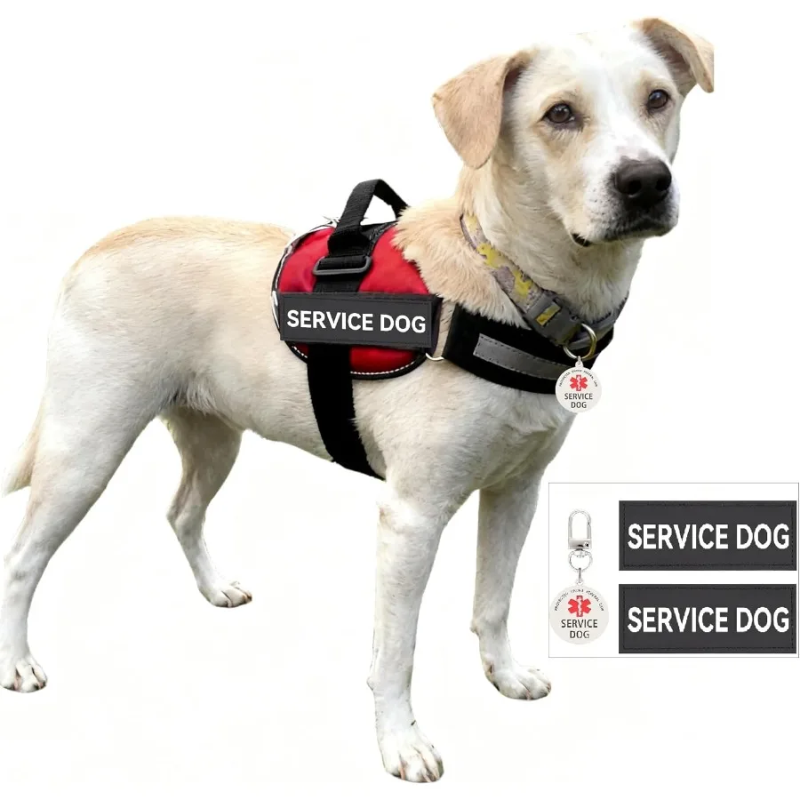 Service Dog Patch and Tag Id Tag Easily Attach to Collar Harness Vest Large 1.50 x 5.12 ih