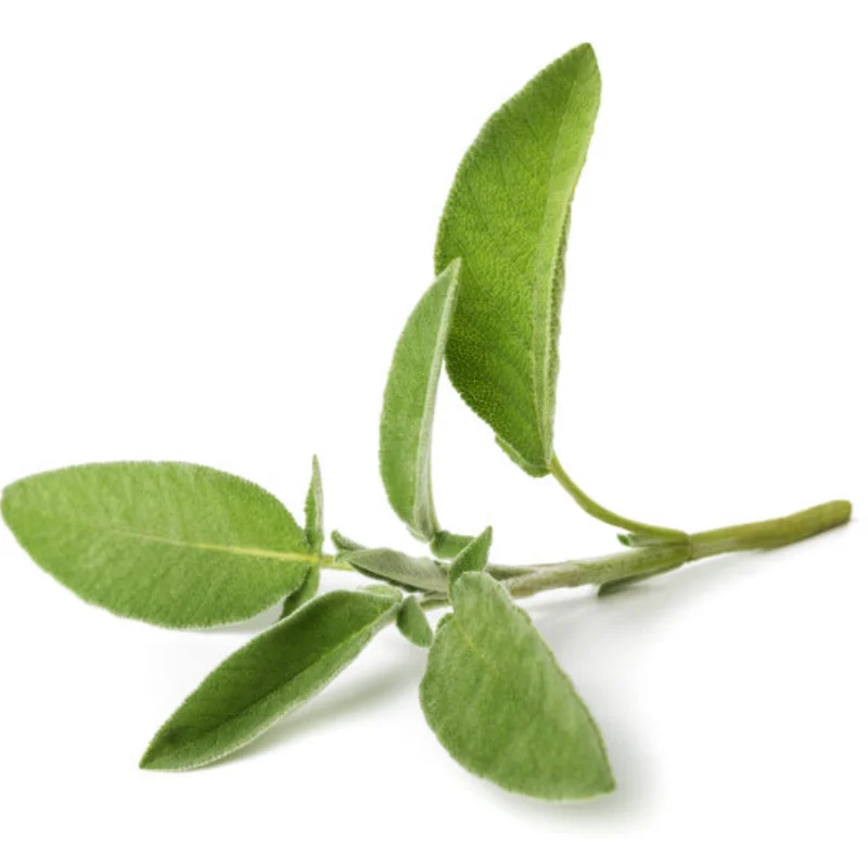 

Front /Rear Swing Arm Suspension Arm for MJX Hyper Go V2 10208 1/10 RC cars R/C Trucks