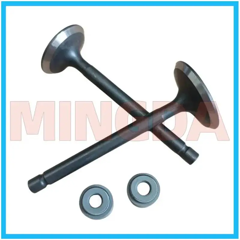 Intake / Exhaust Valve / Oil Seal for Lifan 250-p/e/d/v16s Lj250 Lj250-3v V-cylinder