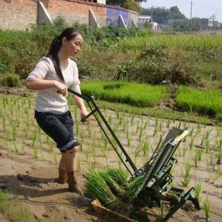 Rice paddy planter,manual rice transplanter