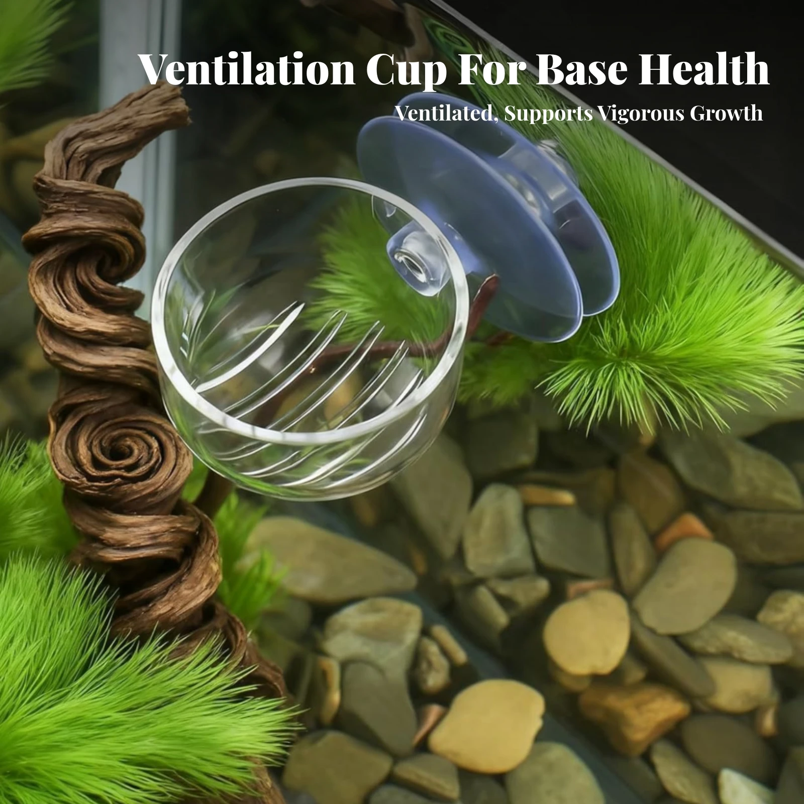 3 Pieces Aquatic Plant Pot Slim Aquatic Tank Plant Holder with Suction Cups Aquarium Cup with Suction Cup Versatile Secure