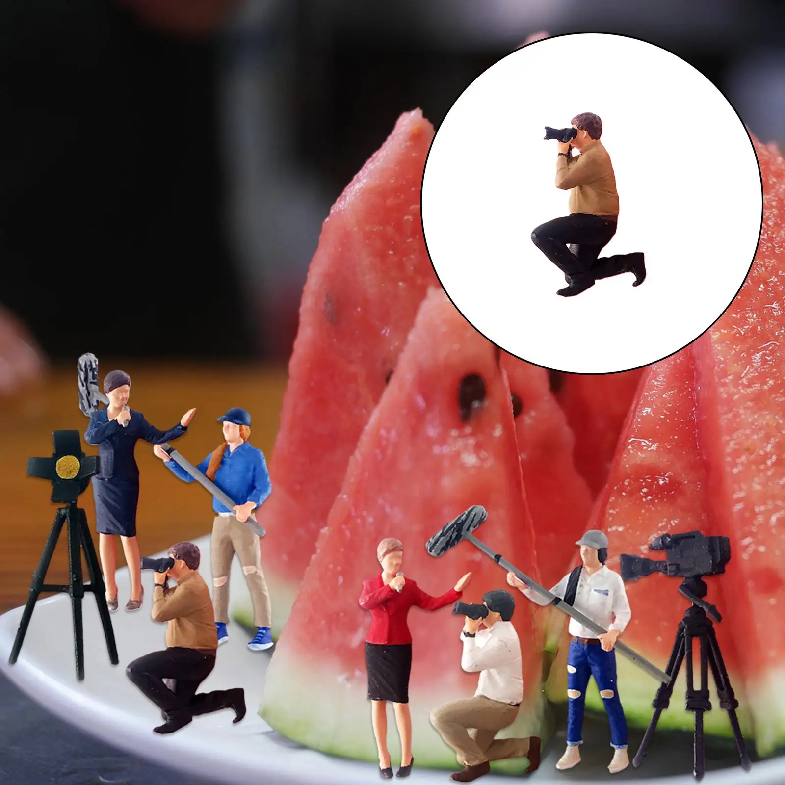 

Трансляция фигурки, расписные фигурки для диорамы с микропейзажами в сказочном саду