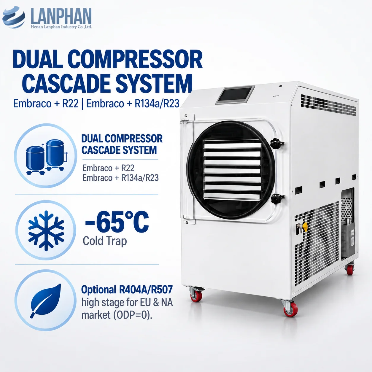 Commercial Food Freeze Dryer 50-55KG/Batch for Medium Scale Food Processing