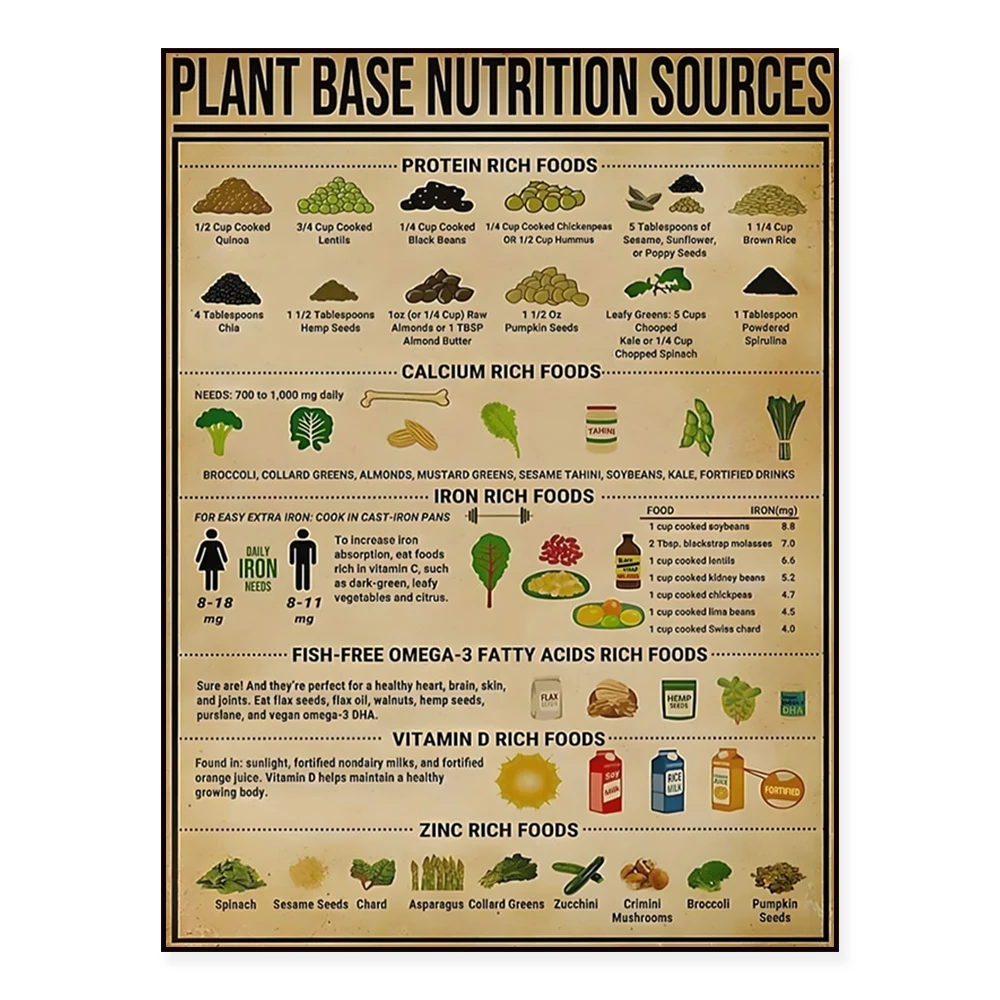 Plant-based nutrition sources, protein-rich foods information, making nut milk and butter kitchen decoration poster