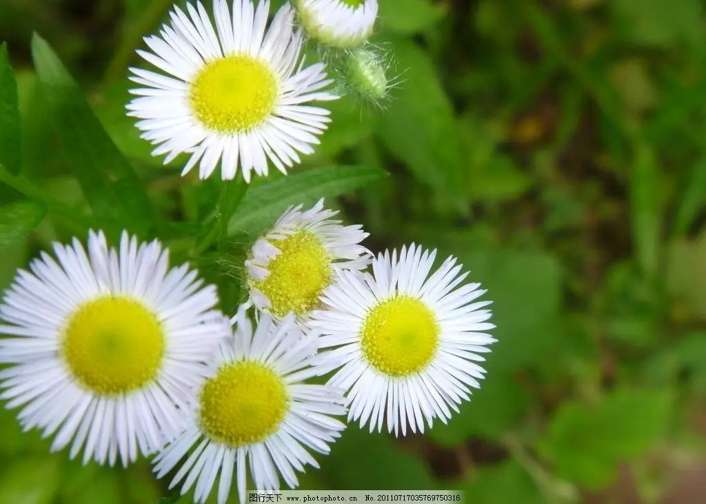 38Cm Suede Leather …