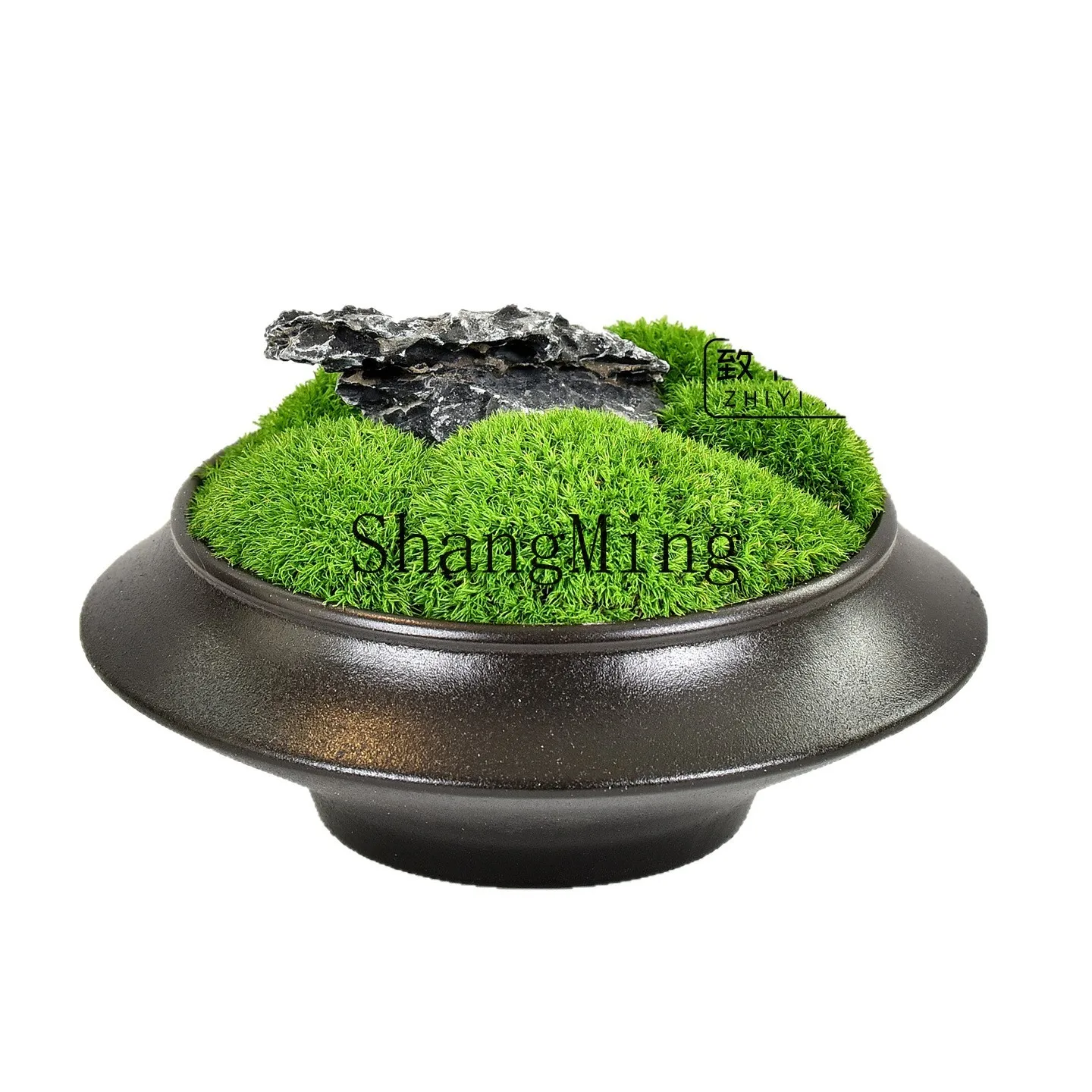 PYH immortal moss large gray moss micro landscape immortal true moss advanced  fish tank landscaping indoor bonsai