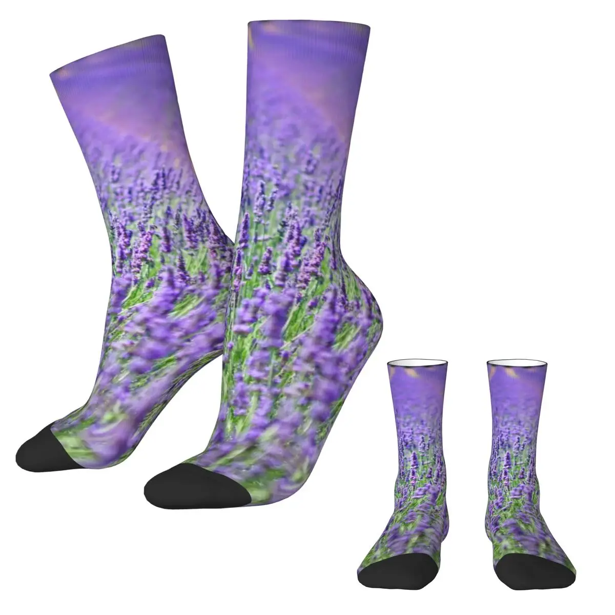 Fields Of Lavender Stockings Purple Flowers Print Graphic Casual Socks Autumn Anti Sweat Socks Unisex Climbing Medium Soft Socks