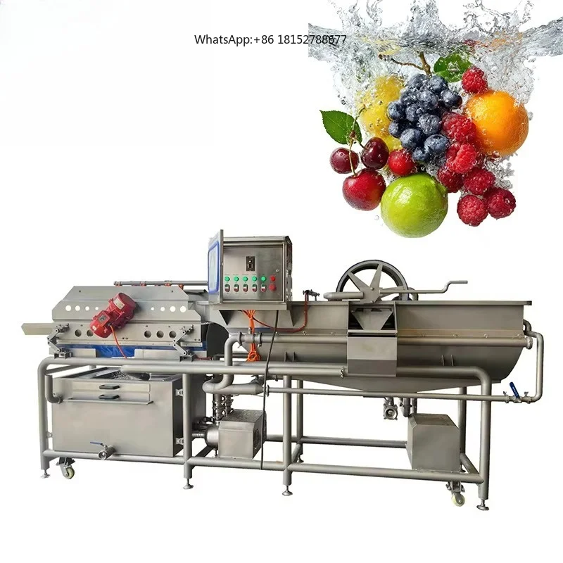 Berry Eddy Washing Machine Strawberry Raspberry Cranberry Eddy Current Cleaner Fruit Processing Production Line Equipment