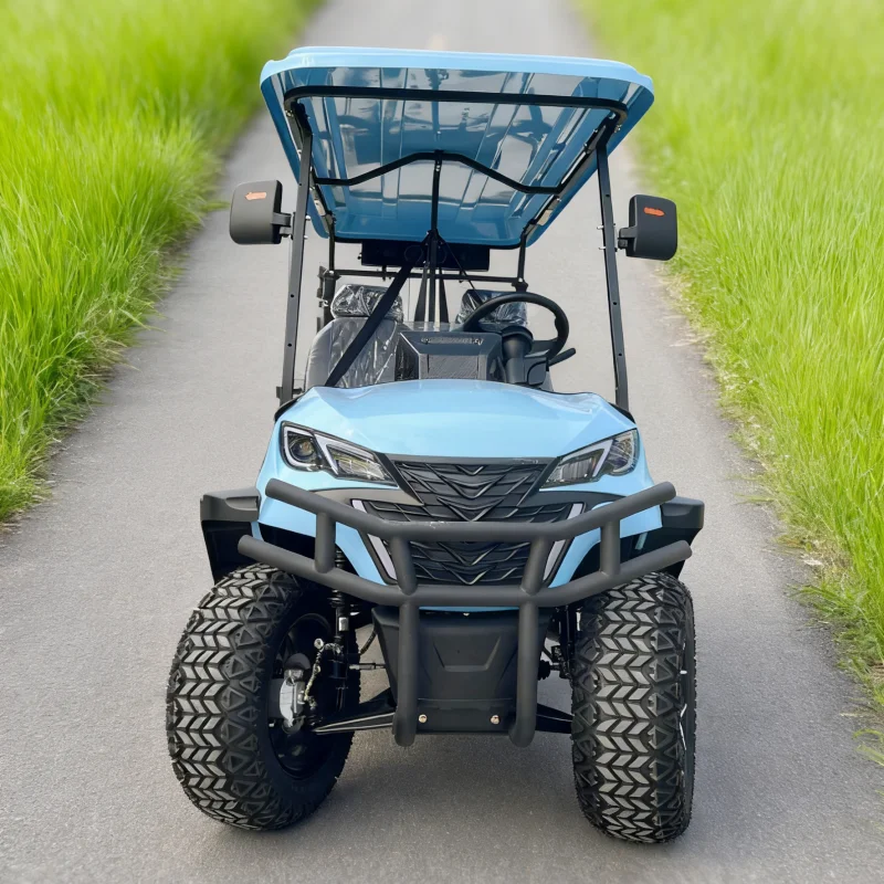الصينية 2 4 6 8 10 مقاعد عربات الغولف الكهربائية عربات التي تجرها الدواب التخصيص على الطرق الوعرة 4 عجلة محرك عربة جولف للبيع