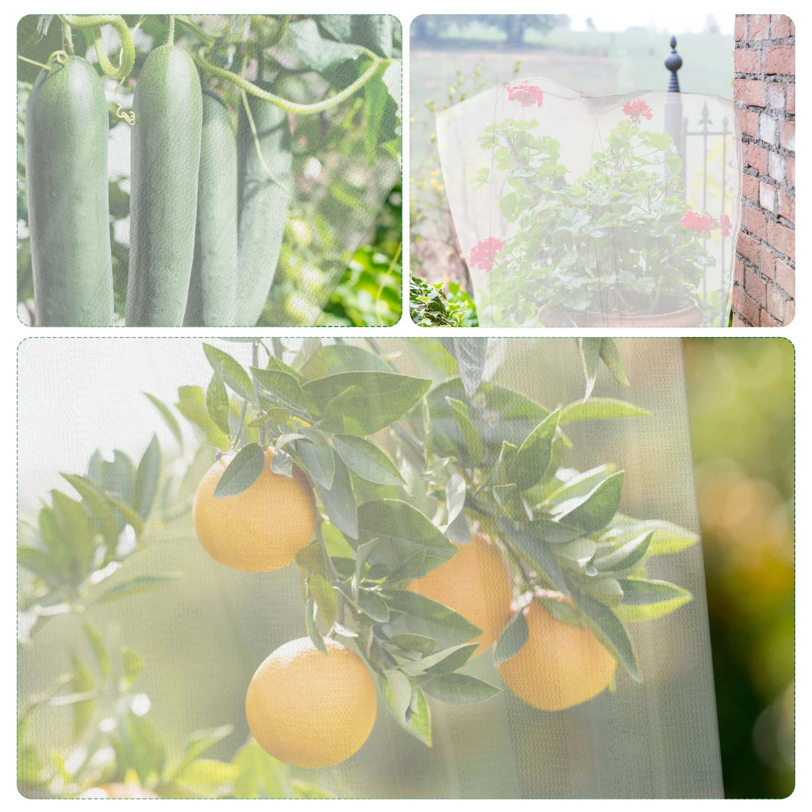 

3Pcs Plant Protective Mesh Covers Drawstring Net Bags Insect Barrier for Garden Vegetables Fruits Garden Netting Barrier