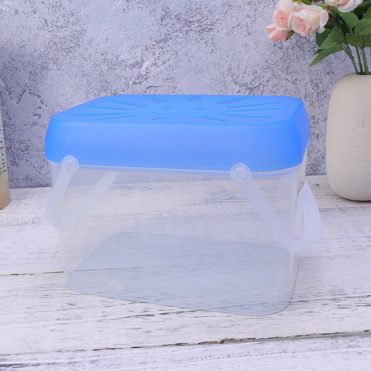 

Transparent PP Plastic Fish Tank Portable Compact Design Breathable Cutout for Healthy Fish Environment Ideal for Home