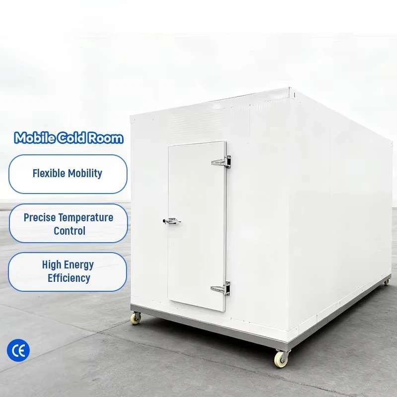20ft Mobile Cold Room -18℃ for Vegetable Produce Freshness Preservation Storage Equipment Custom