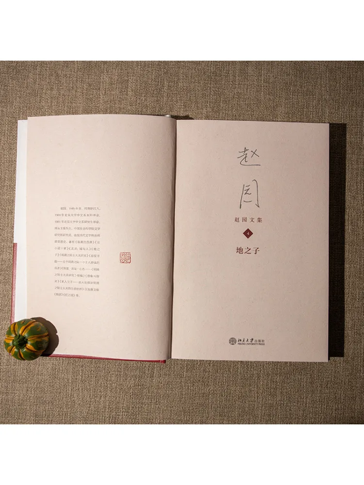 Livro-Winshare Filho da Terra