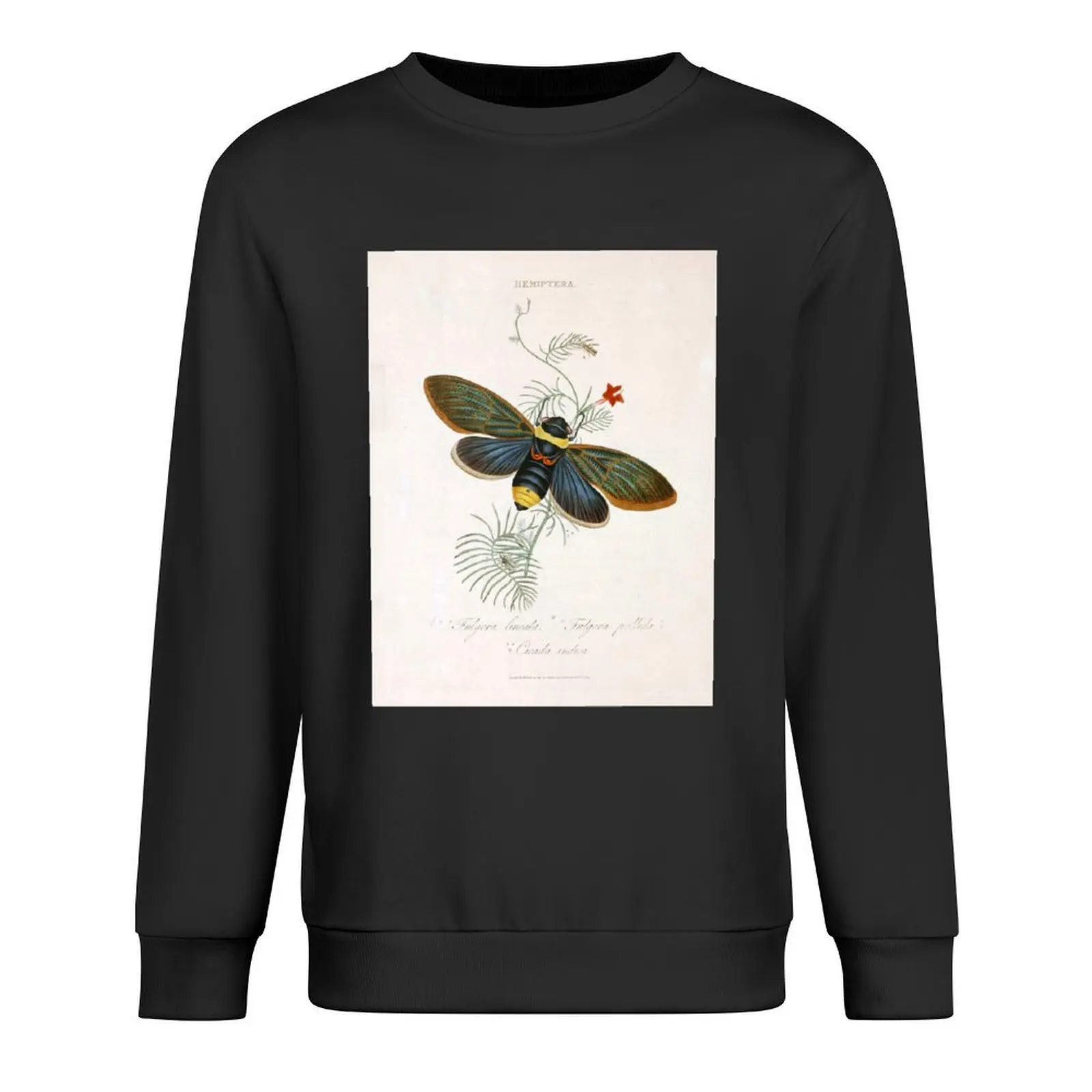 

Tacua Speciosa Cicada Pullover mens designer clothes autumn tracksuit anime clothing sports sweatshirt man