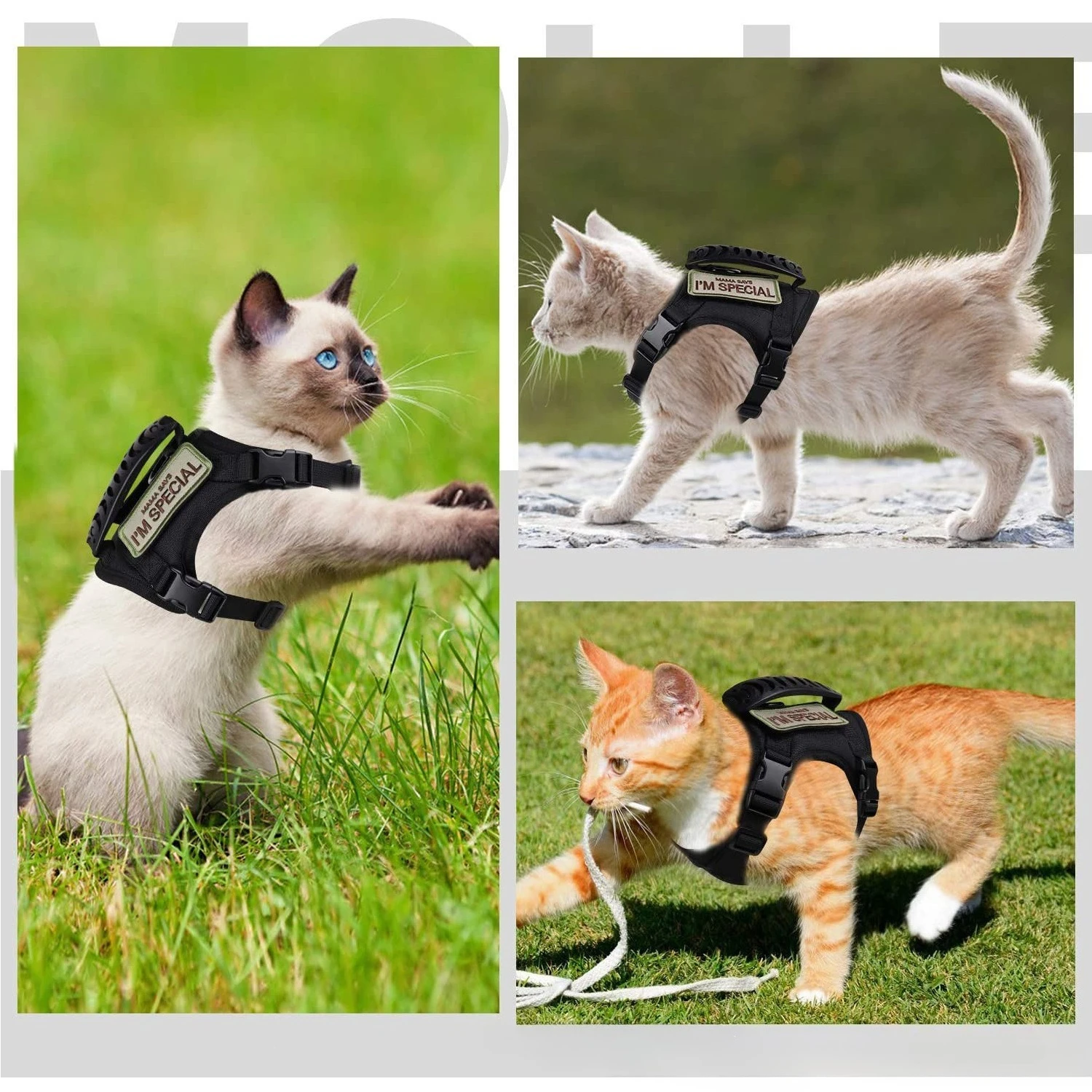 Tactical Cat Harness Vest-Style Leash, Escape-Proof, Adjustable, Outdoor Cat Leash, Small Dog Leash