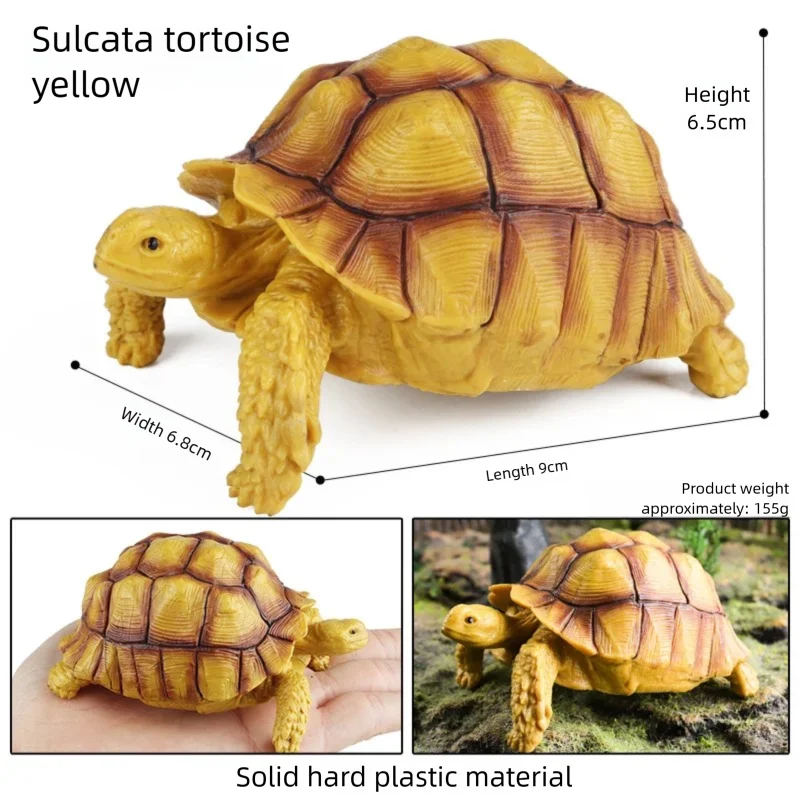 Oenux Simulations-Schildkröten-Set: Alligator, Galapagos-Schildkröte, Chinesische Weichschildkröte Figuren und Puppen – Detail 2