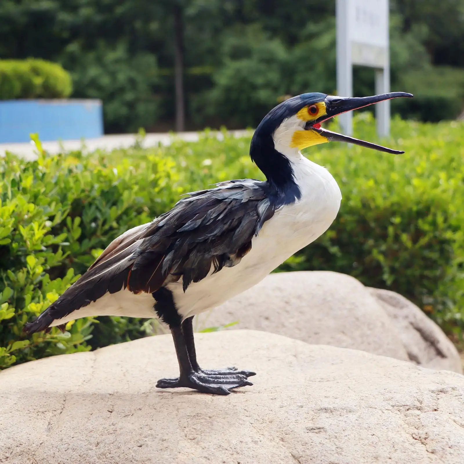 

Artificial Garden Cormorant Statue for Lawn Outdoor Indoor Home