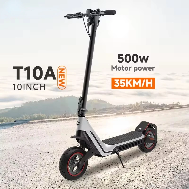 

Scooter china standing Scooter 10 inch 10/15Ah 500w Folding Scooter for Adult