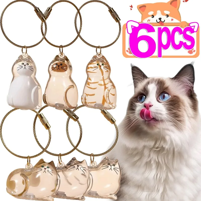 1/6 قطعة الاكريليك القط الشعر سلسلة مفاتيح تذكارية شفافة الحيوانات الأليفة الفراء صندوق تخزين تذكار قلادة هدية للحيوان معلقة الديكور #1