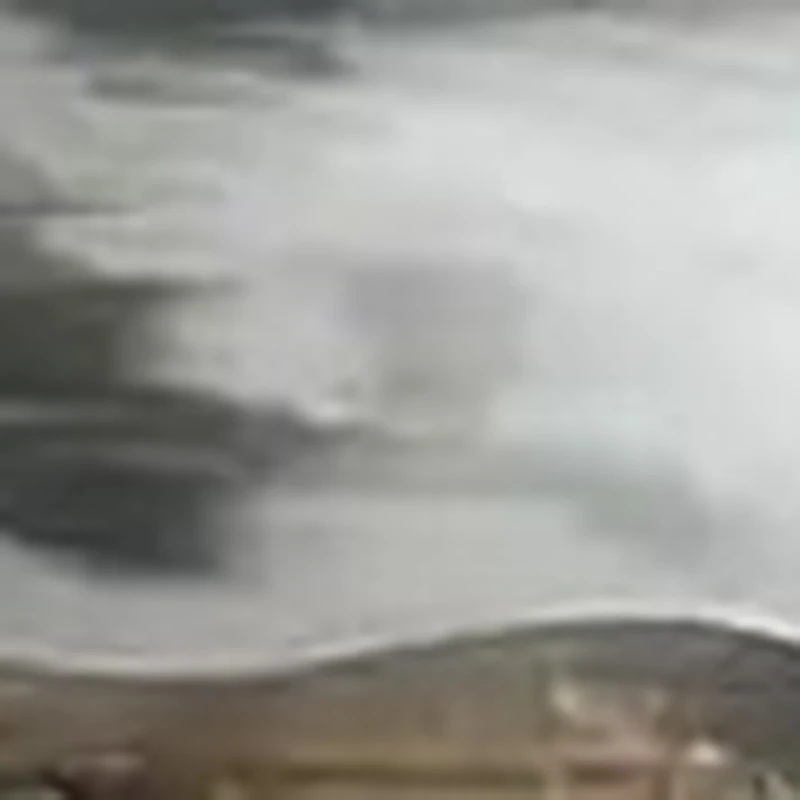 Professional Medica…