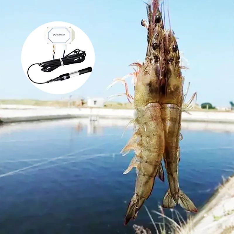 Online Monitoring Digital RS485 MODBUS Water Dissolved Oxygen Sensor For Shrimp Farm